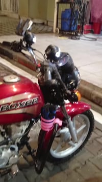 بوكسر للبيع 750الف قغل مستعجل شراي واتساب 07811040717