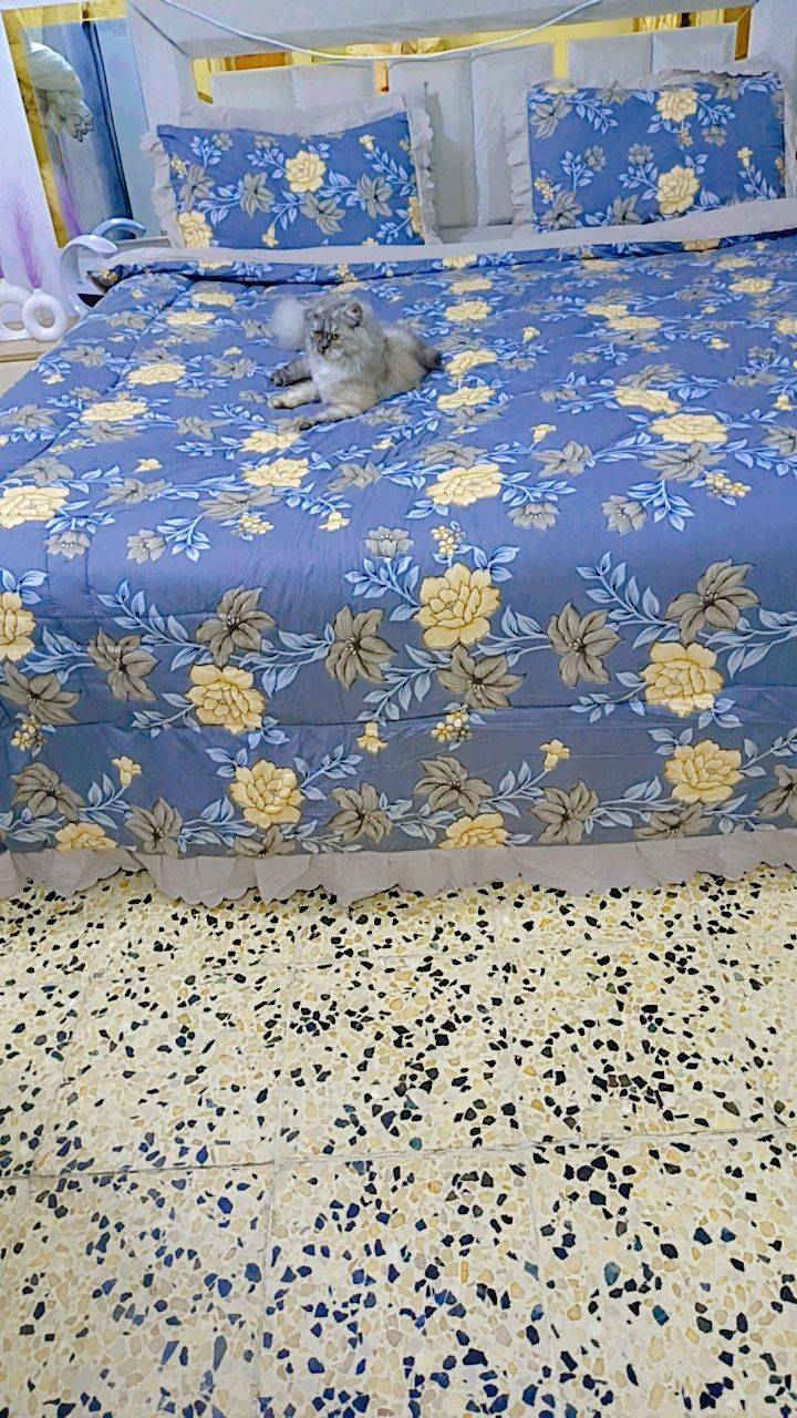 غرفه تركيه نضيفه سعر 450


**إذا كنت صاحب هذا الإعلان وتريد حذفه لأي سبب، رجاءا أرسل رسالة إلى الدعم الفني**