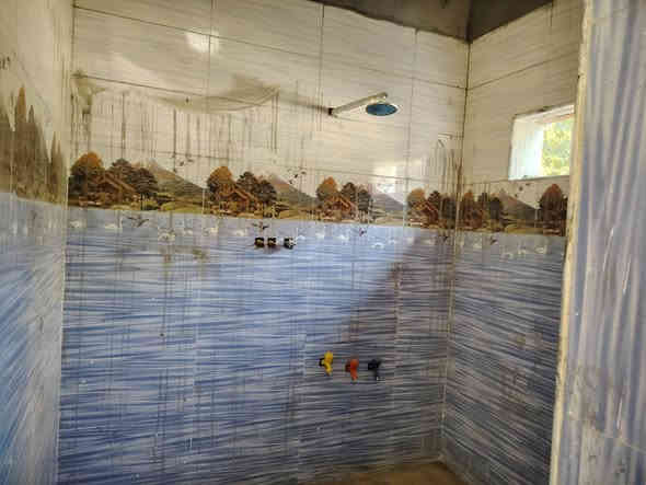 من رخصت الادمن المحترم بيت 240متر كامل وفارع محتاج شغلات بسيطه البيت غرفتين كبار استقبال مطبخ خدمات كراج حديقه صاله المسيب طريق سيد ابراهيم حي لي عل خط النفط السعر 57 وبي مجال قليل *********** او مراجعه مكتب دلهي مقابل مطعم عمو مهدي
