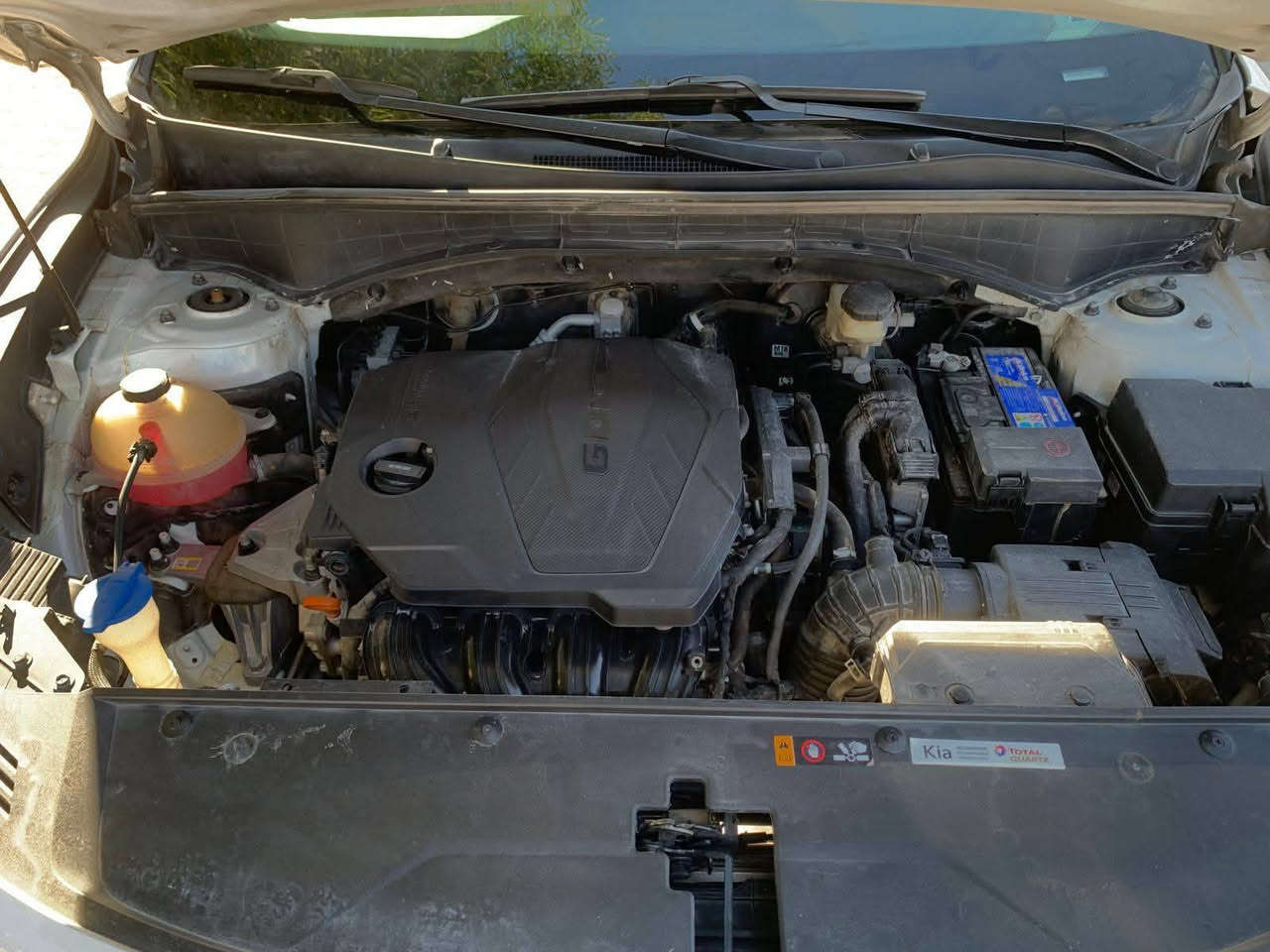 السلام عليكم
سياره سورنتو2021 لون ابيض فئه ال S

ماشيه 65 الف 
محرك 2500  شرط عل فحص 
سبعه راكب 

سياره جاهزه وخير من الله 

متصرف عليه لو الف 

رقم اربيل دولي 

فول مواصفات عدا الفتحه 

حادث جاملغ جه السكن 

ومبدل نفسه جاملغ وكاله ومصبوغ 

السعر 215 وبيه مجال 

العنوان بلد 

تلفون ***********

***********
