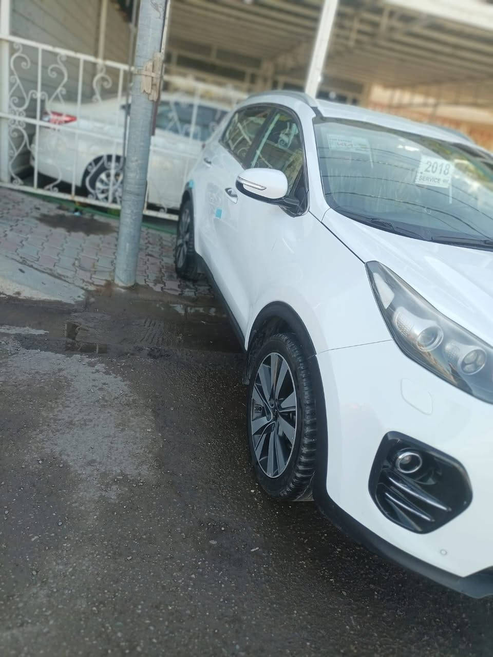 السلام عليكم كيه اسبورتج 2018 رقم اربيل حويل مباشر  للاستفسار اتصل على الرقم *********** مكاني بلد صلاح الدين السيد محمد
