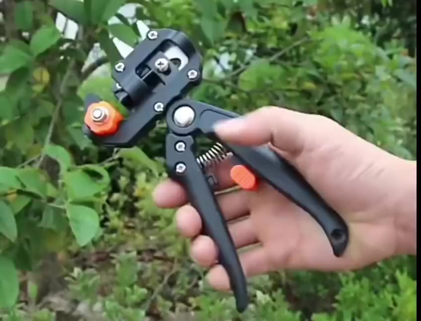 مقص تطعيم الأشجار الاحترافي
أداة "2 في 1" مصممة لتسهيل عملية تطعيم النباتات وتقليمها بدقة عالية لضمان نجاح الالتحام بين "الأصل" و"الطعم"
يقوم بعمل شقوق متطابقة (على شكل حرف V أو U أو Ω) في كل من الغصن المراد تطعيمه والأصل، مما يضمن تطابقاً تاماً للأنسجة
📍 السعر 15 الف


**إذا كنت صاحب هذا الإعلان وتريد حذفه لأي سبب، رجاءا أرسل رسالة إلى الدعم الفني**