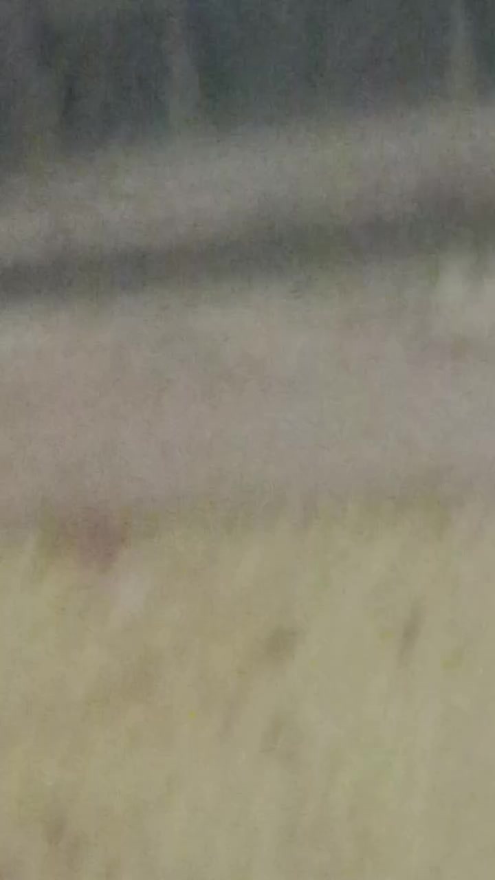 سبلت البيع نقص غاز سعر200
‏‪+9647876088207‬‏


**إذا كنت صاحب هذا الإعلان وتريد حذفه لأي سبب، رجاءا أرسل رسالة إلى الدعم الفني**