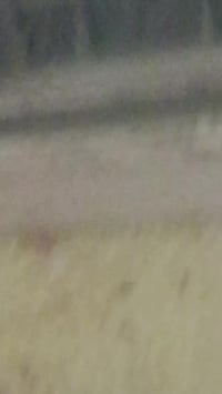 سبلت • نقص غاز • للبيع