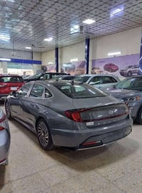 هايبرد • ٢٠٢١ • رقم بغداد