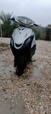 ماكس ثعلب • ٩٩ الف • نجف