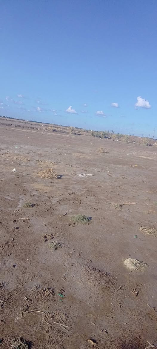 سلام عليكم 
 
نصف دونم البيع قرب قريت المدور بيه نخل 30 نخله

وصله كهرباء وماء شارعه سبيس السعر تصل  ***********
