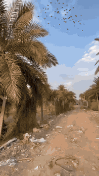 أرض للبيع 🏘️  📍 الموقع: البوعيثه – شارع شيخ زوين 📐 المساحة: نص دونم (1...