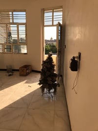 يا الله خلفه لبخ ومبيضجي مكاني بغداد ابو غريب سعر المتر ب ٦ شرط شغل هن...
