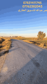 الشيخ تميم • طابو زراعي • ٢٥٠م