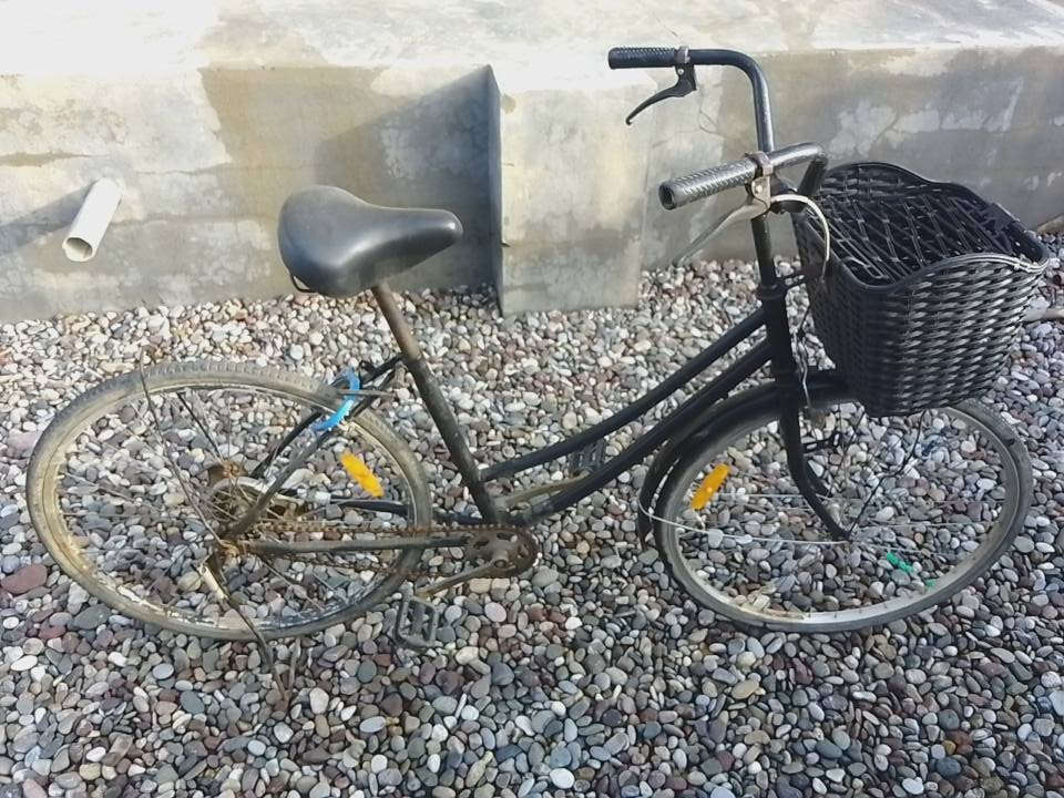 السلام عليكم
بوسكل للبيع 

رقم الواتساب: ***********
