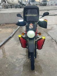 بوكسر • جبلي • ٢٠٢٣