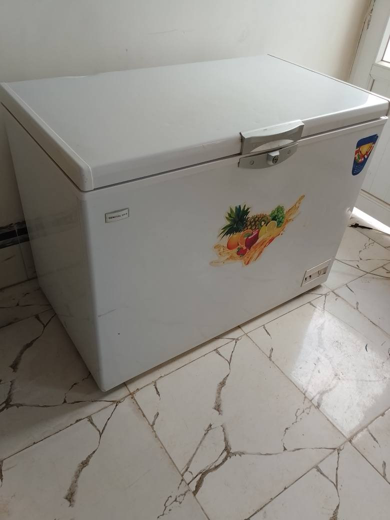 مجمده شرط جديده فول يرهم مراوس عاطل شغال والعنده هم نشتري ‏‪***********‬‏ كركوك, العراق
