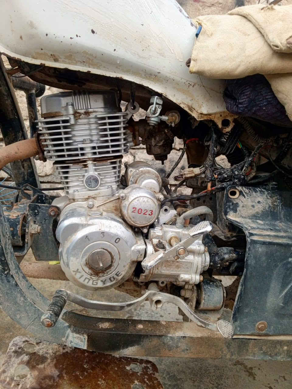 سلام عليكم اخوان عندي هاي ستوته للبيع ستوته مال شغل مكينه صفر2023 تيرات جدد كهربايات شرط فحل سعر 750 بيها مجال قليل العنوان كركوك ***********
