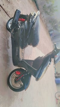 سكنس فحل • كابريتر • ياباني