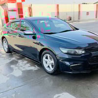 ٢٠١٧ • بدون صبغ • كركوك