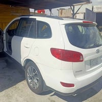 سنتافي • ٢٠٠٨ • معمرة مصبوغة