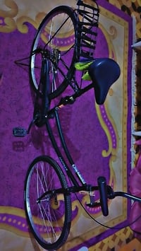 باسكل • نضيف • شطره