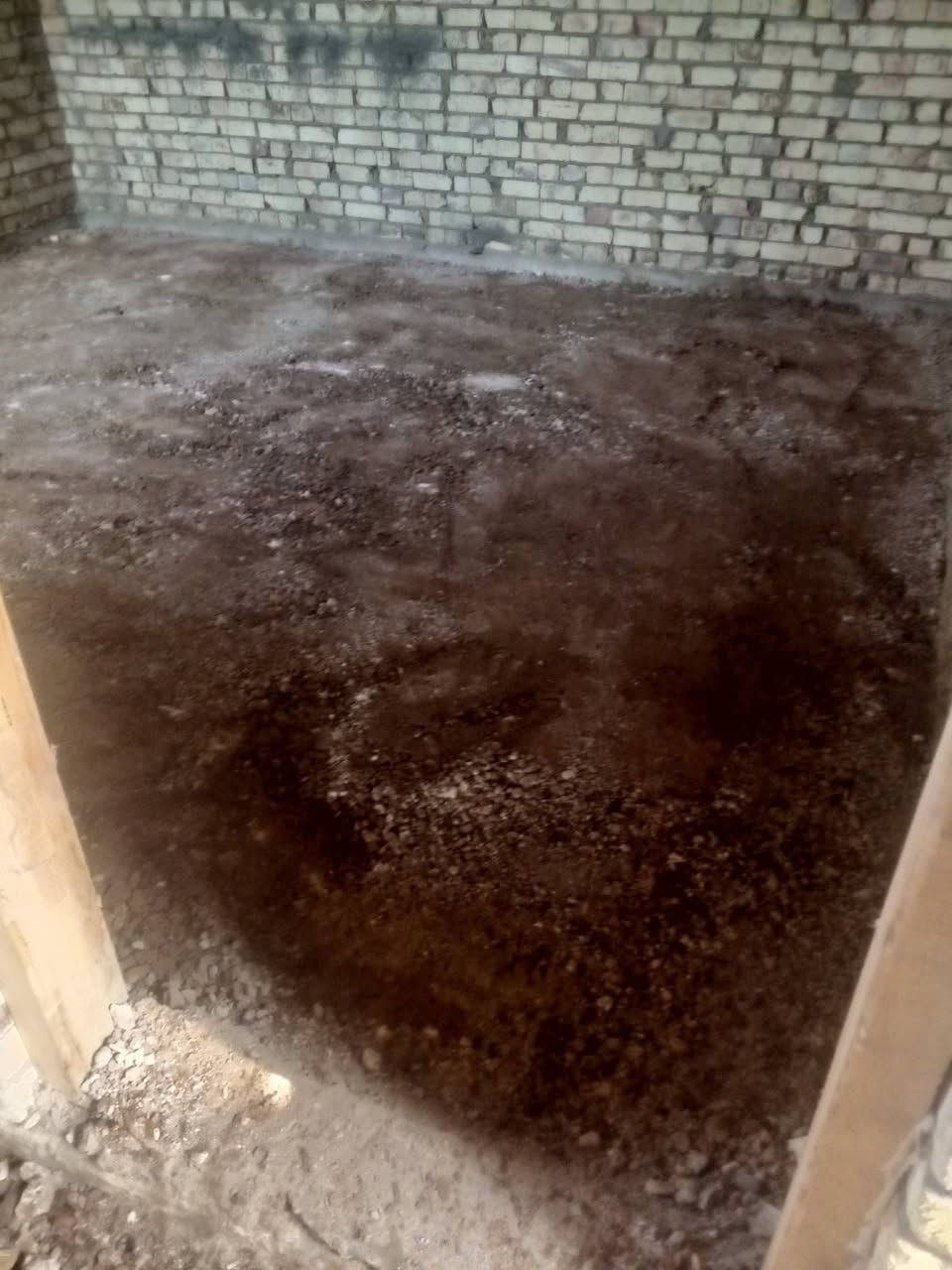 يوجد عمال لكافة الأعمال الشاقة تصعيد مواد عالضهر +فرش سبيس وحدل +صب ارضيات  +تصعيد تراب تنضيف بيوت من جص وأنقاض+تكشير تفليش تشميع بتلو  +غسل بيوت ونقل غراض بيتً تشميع شغلي درجة اولى رقمي بأنسب الاسعار ***********
