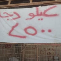 دجاج حي • توصيل • يم الحاولي