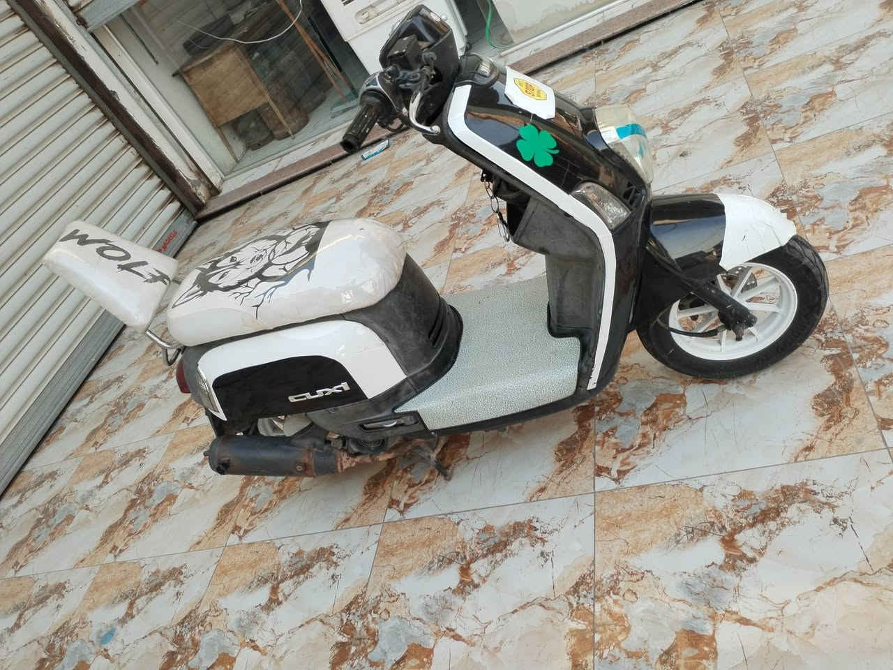 سلام عليكم للبيع بوليس نوزل شراي يتصل*********** مراوس بعدله ترهم
