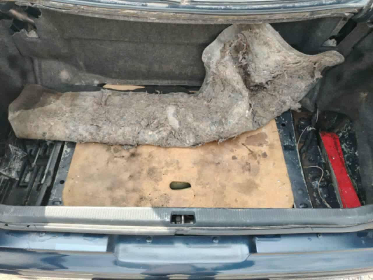 السلام عليكم البيع راس الثور رقم نينوه نكليزي بسمي بيه كصه قماره والباقي مكفول من الضربه والنقل جثه حداديه جديده تخم تاير تبريد مكينه وكير مكفولات مكان ناصريه قضاء النصر سعر ٧٥ وبيه مجال هاذا رقمي ***********. ***********
