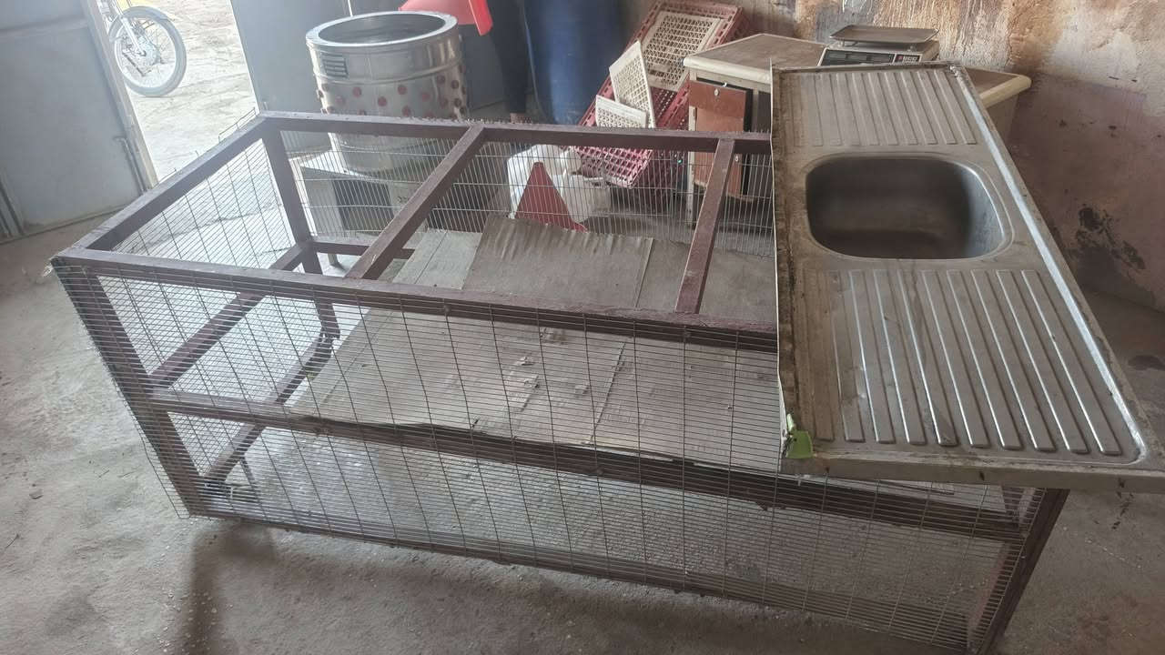 سلام عليكم غراض مال دجاج كامله البيع مكان طوريج *********** وياهن جدر وطباخ  وقفاصه 6
