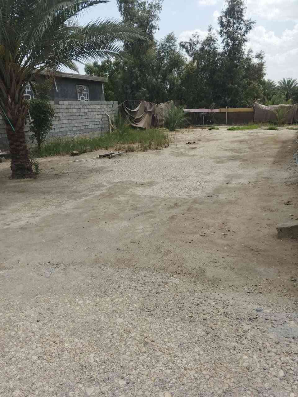 سلام عليكم قطعه بحي الشرطه صايره بل وجه 
تحتوي على معمل سندويج الكاع صب مساحه الكليه 800/نزال56/وجه13/ /او تنباع كامله مساحه1600وجه32ونزال56 مع بيت طابقين 
*********** الاستفسار وتساب
