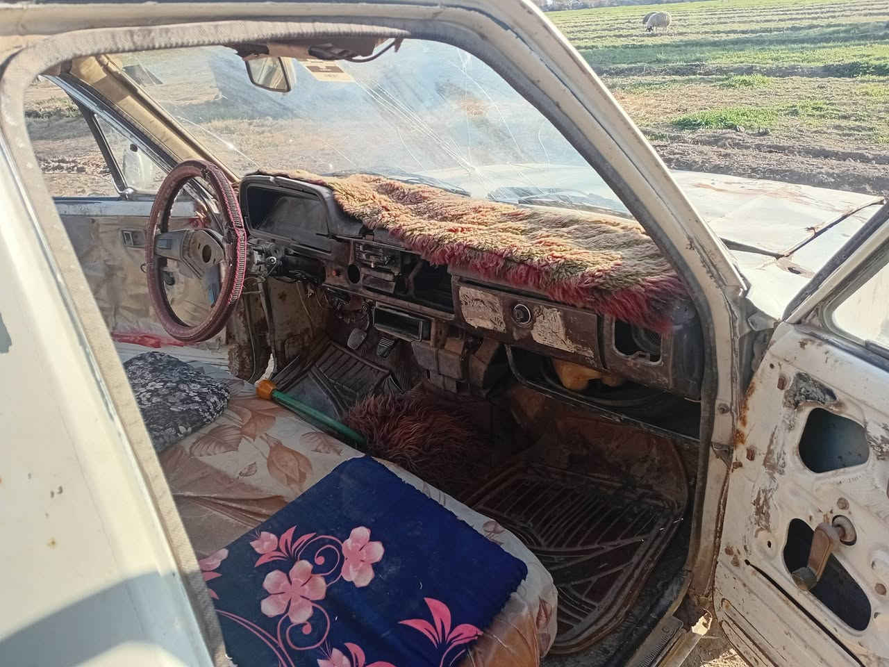 للبيع بيكم ٨٢ محسن خليجي  محرك شغال بيه بخار رقم بغداد دولي السنويه ٢٠٣٠ راعيه موجود شرط التحويل مكان سياره بغداد اطراف اليوسفيه من جهة الصويره قريب السريع الدولي الجسر الخامس سعرها ٢٨ ورقة وبيها مجال للشراي وهذا رقم  *********** للاتصال
