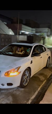 ماكسيما • ٢٠١٠ • كركوك