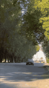 سلام عليكم
فورتي موديل 17 السيارة حادثه جنطه وجاملغ خلفي 
مصبوغ صبغ عام أثر جراد كير مكينه خير من الله تخمم تاير جديد دهن كل الفين ابدله منضومه زنون بلادي زرع عدسات
انسه مرور يحاسبك عليه ادامه قبل سبوعين بدلت فيت بم جديد نوزلات بلكات مجاول باتري تبريد منضومه جديده نقصه بس غاز بانزين كله محسن سياره مال بيت ماشي 181 الف بيه غراض مو وياه واذا تريدهن ابيعهن لك بيه سيبايه حيدر سحاره بيه هورنات بوش وبراد من ستار بوش المكان بغداد الغزاليه شارع الضغط 
*********** السعر 105وبيه مجال
