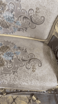 تخم زان مصري 10 مقاعد و 4 طبلات السعر 750التخم نظيف جدا سبب البيع ضيق المكان


**إذا كنت صاحب هذا الإعلان وتريد حذفه لأي سبب، رجاءا أرسل رسالة إلى الدعم الفني**