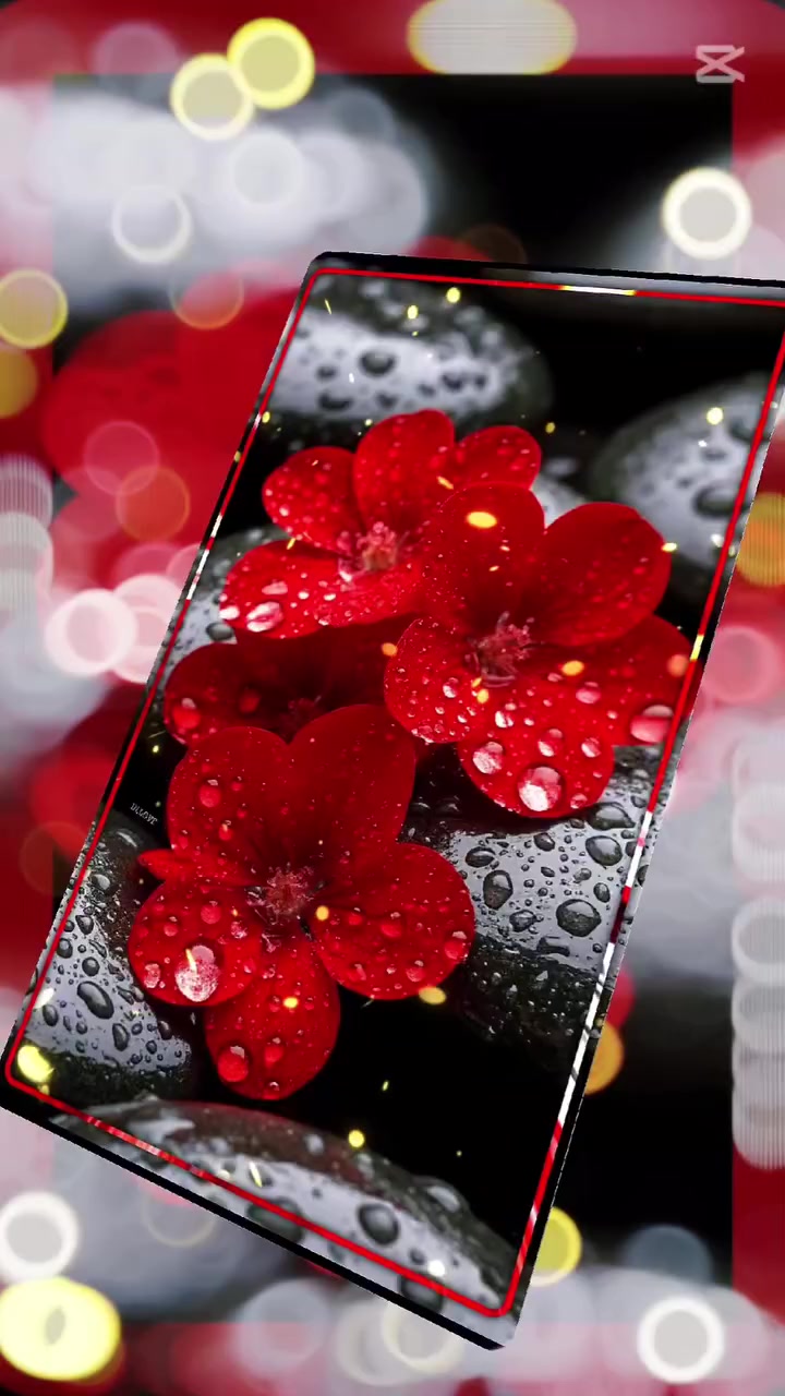 اعلان هام...
تعلن مدرسة ينابيع العلم الابتدائية الاهلية عن دورات تقوية من الابتدائي الى الثالث المتوسط بنظام الحقيبة التعليمية باسعار مخفضة ...هل تلاحظ ضعفا في مادة معينة لابنك . لدينا خطة تعليمية واضحة وواجبات مدروسة لتقوية نقاط الضعف بهدف رفع المستوى وتحسين الفهم والاستيعاب ...سارعوا بالتسجيل فالمقاعد محدودة...اوقات الدوام من 2ظهرا الى 5 مساء.
للاستفسار: ***********
  ***********
#تعليم #مدارس_خاصة #تعليمية #ترند #أطفال
