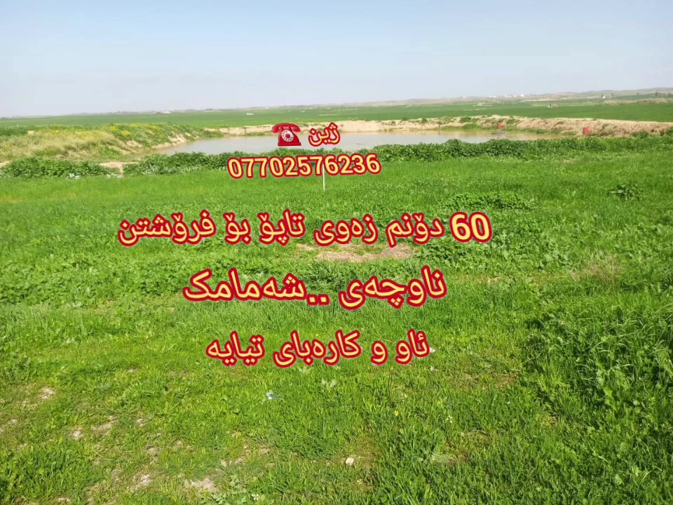 🏠 ژمارە ( 41 )
***********
واتساب📞ڤایبەر
