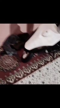 دراجه • نضيفه • المنصور