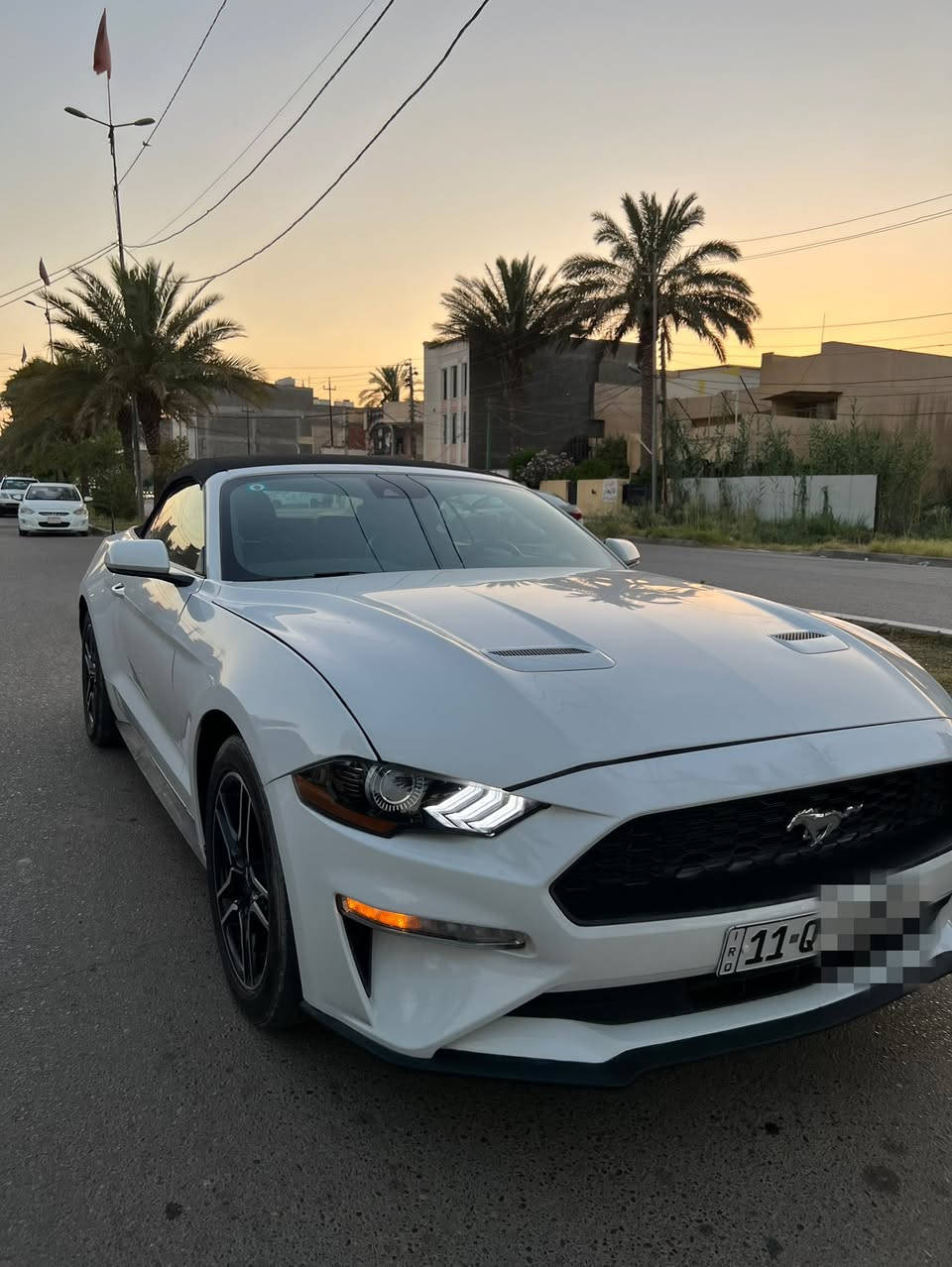 السلام عليكم
موستنك موديل 2023 كشف لون ابيض 🏎️

ماشيه ٣٣ 

فول مواصفات 

حادثها بسيط بدون ايرباك 

موضح بالصور التعديل مالتها 

صبغ بيها بس راس البنيد ورأس الجاملغ 

عنواني بغداد - السيدية 

السعر ب ١٧٨

رقمي *********** وبي واتساب
