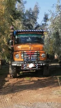 اقجم 81 • تحويل مباشر • شاصي مكفول