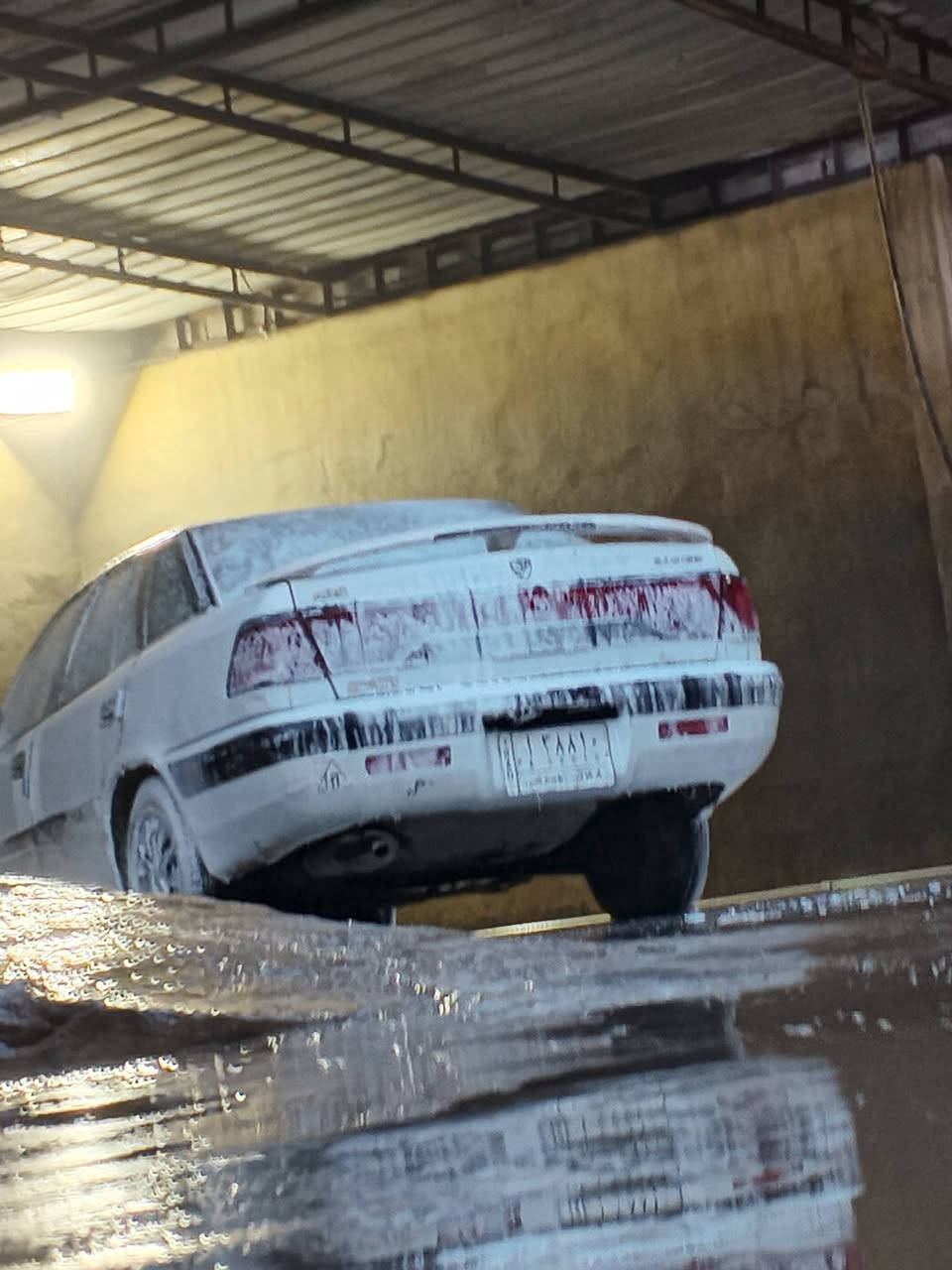 دايو اسبرو مديل١٩٩٤
كبس محرك شرط وكير شرط تايرات زينات 

كهربايات بس دشبول ما يشتغل سنويا منتهي من ٢٠١٩

سعر٢٦ بي مجال قليل مكاني كركوك


**إذا كنت صاحب هذا الإعلان وتريد حذفه لأي سبب، رجاءا أرسل رسالة إلى الدعم الفني**