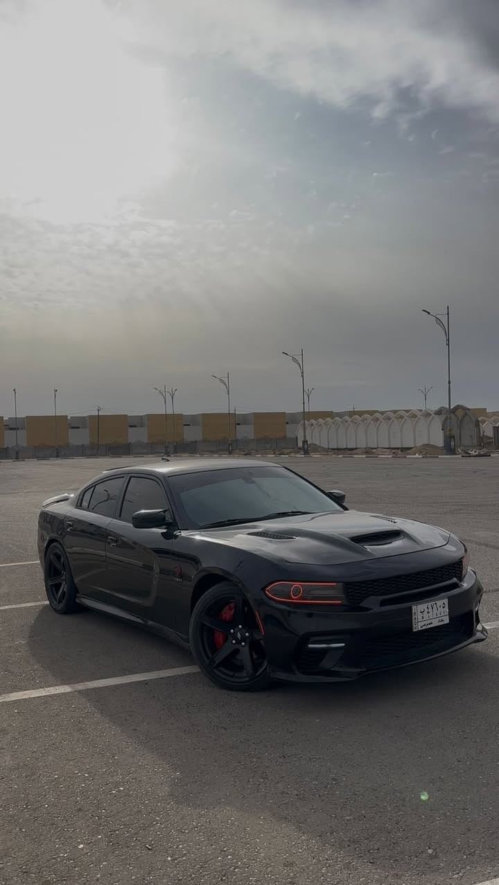 RT
الوحش للبيع :

-جآرجر ارتي سوبر تراك  موديل 2016

-رقم بغداد مداور ثاني يوم وآرد امريكي  سؤنار موجود

-السياره اصل 

-محرك :5700 🚀

-سياره مصروف هواي : عليه دركه RPM محدثه دعاميات وبنيد 

-وايد بدي

-لد متغير متعدد الألوان ع جهاز . عليه (Kaj Kan) وبعد هواي امور 

-حادث السياره جاملغ وبنيد.

-مكان سياره كربلاء 

-الرقم هاتف :***********

-الواتساب : ***********

السعر :175 .
