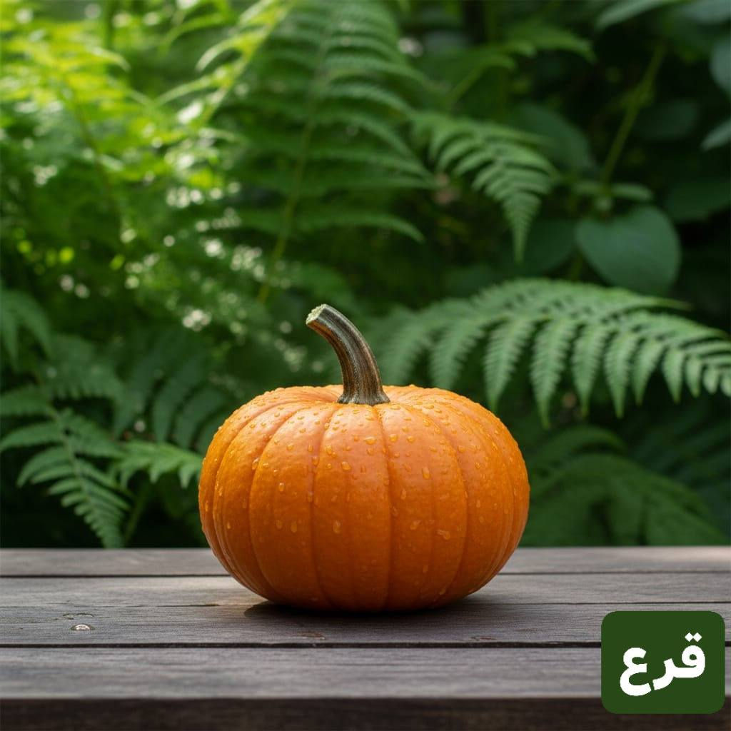 اندر انواع البذور👌
سعر المغلف 1500 فقط
توصيل جميع محافظات العراق
للحجز والاستفسار *********** واتس اب او خاص
#بذور
#سنادين
#زراعة
#بانية
#يقطين
