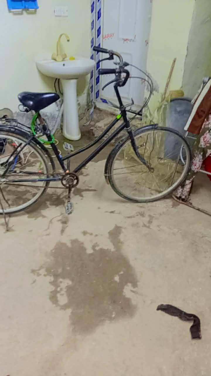 السلام وعليكم 👋 باسكل بناتي. حجم 26😮 وكير بي شغال 3 نمره + ويا سله تتخله صفح+ ويا جرس 🔔قوي. السعر $ 40 وبي مجال حك الجيه 👤 الله شاهد باسكل أحله من صوره شراي يجي خاص


**إذا كنت صاحب هذا الإعلان وتريد حذفه لأي سبب، رجاءا أرسل رسالة إلى الدعم الفني**