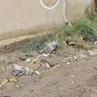 كريطعه الثالثه • ١٨٠م • غرفتين