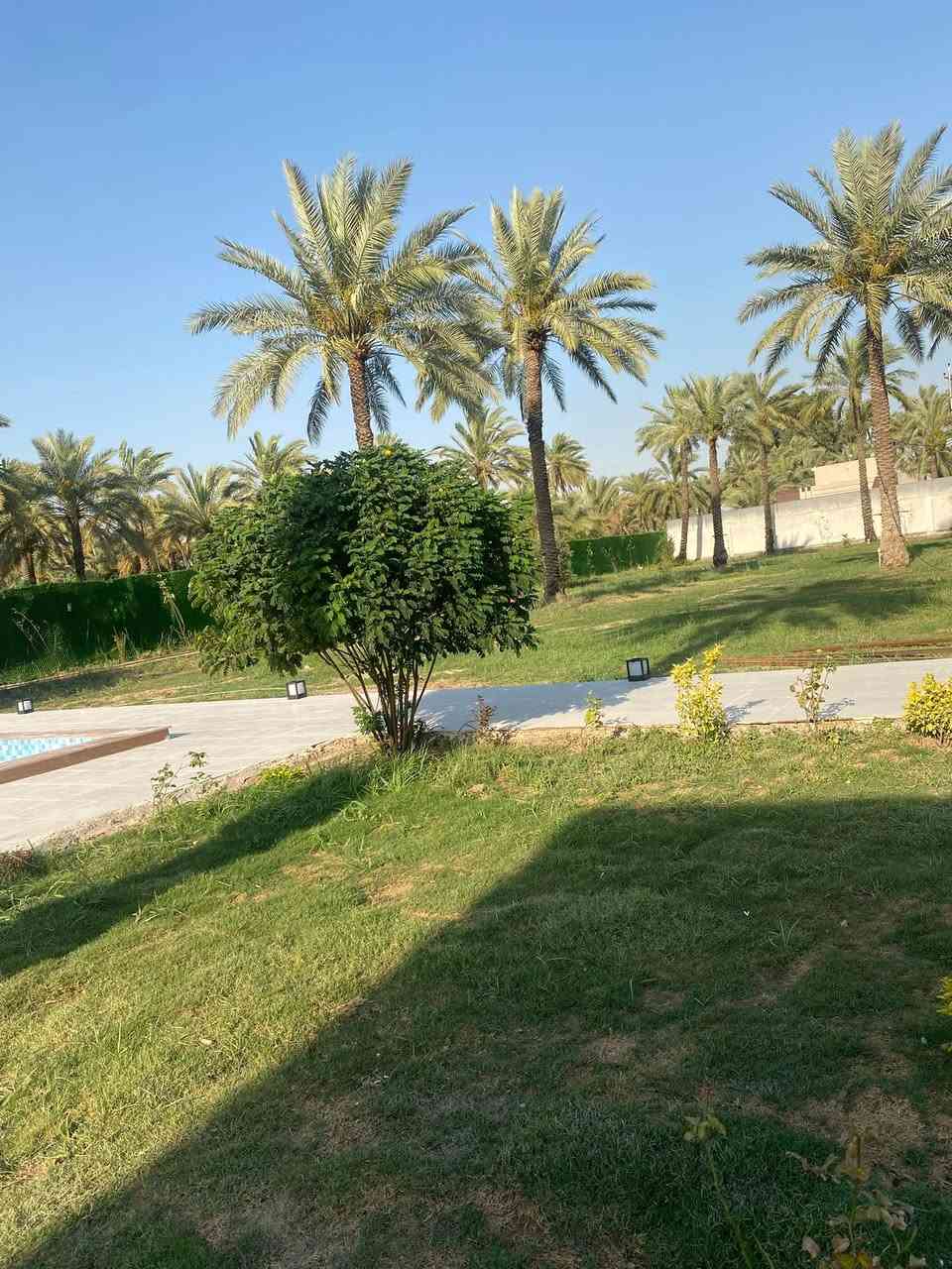 إعلان قطعة للإيجار 📝
السلام عليكم، تم فتح الحجز على القطعة للإيجار اعتباراً من يوم الإثنين القادم.
للاستفسار أو الحجز، يرجى التواصل على الرقم التالي:
📞 ***********بس عوائل
