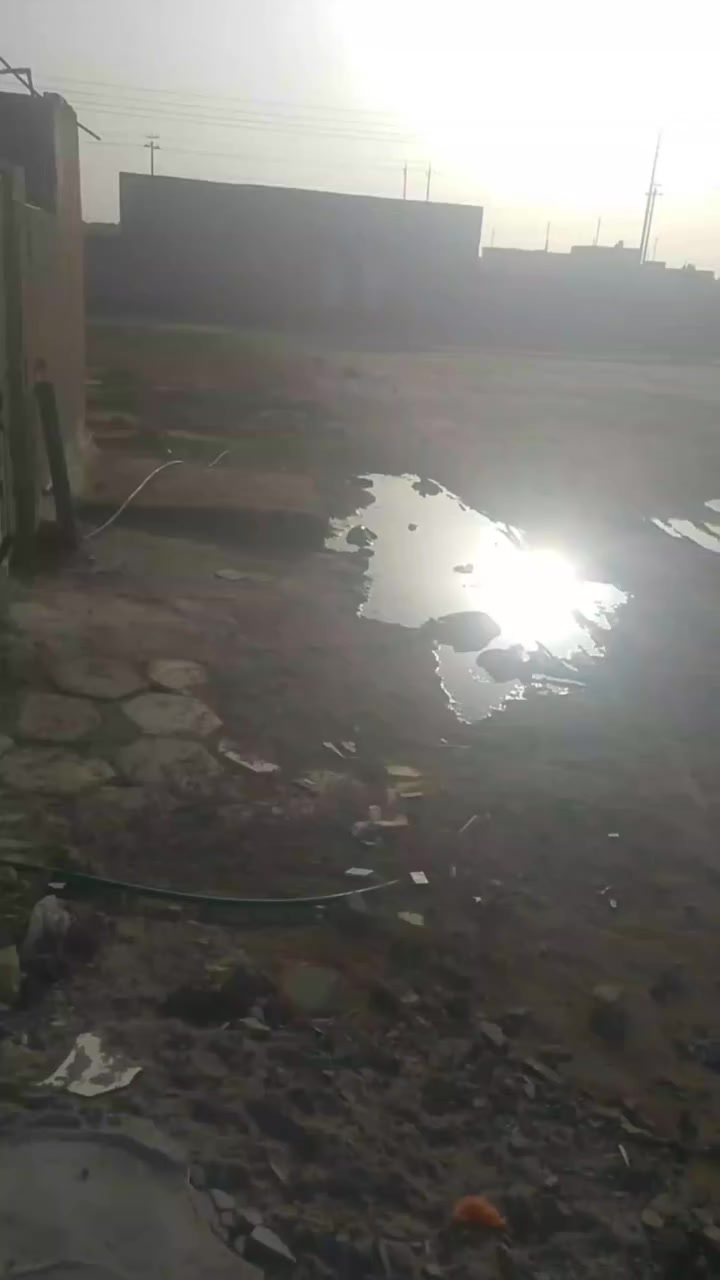 بيت لبيع زراعي حي فدام خلف ابو رعد ابو سراميك مساحه 180لوجه
6او ربع او نزال 29موجد تفصيل بل فيدو كامل سعر 
21ابو بيه مجال ***********
ملاحضه
مو شراي لا طب او لا تعبني
