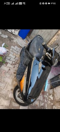 فراشة • بصرة • ابو الخصيب