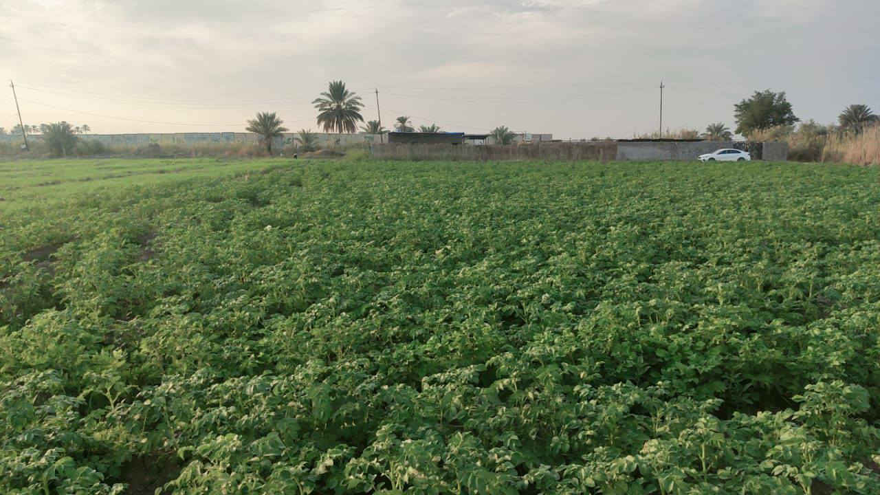 السلام عليكم✋للبيع ارض زراعية نشطة جداً
تصلح ان تكون للزراعة او منتجع  وشاليهات
لموقعها المميز  سند 25 طابو زراعي موقعها اليوسفية قرية البوعامر☝️قرب السريع الدولي تبعد عن بغداد 10دقايق مساحتها دونمين  الارض مستصلحة ماءالسقي وماء إسالة وكهرباء وتبليط قرب شارع العام الرئيسي الدولي  واجهة 57نزال 92 حدودها طبيعية🌴 للاستفسار اكثر واتساب *********** ✅
