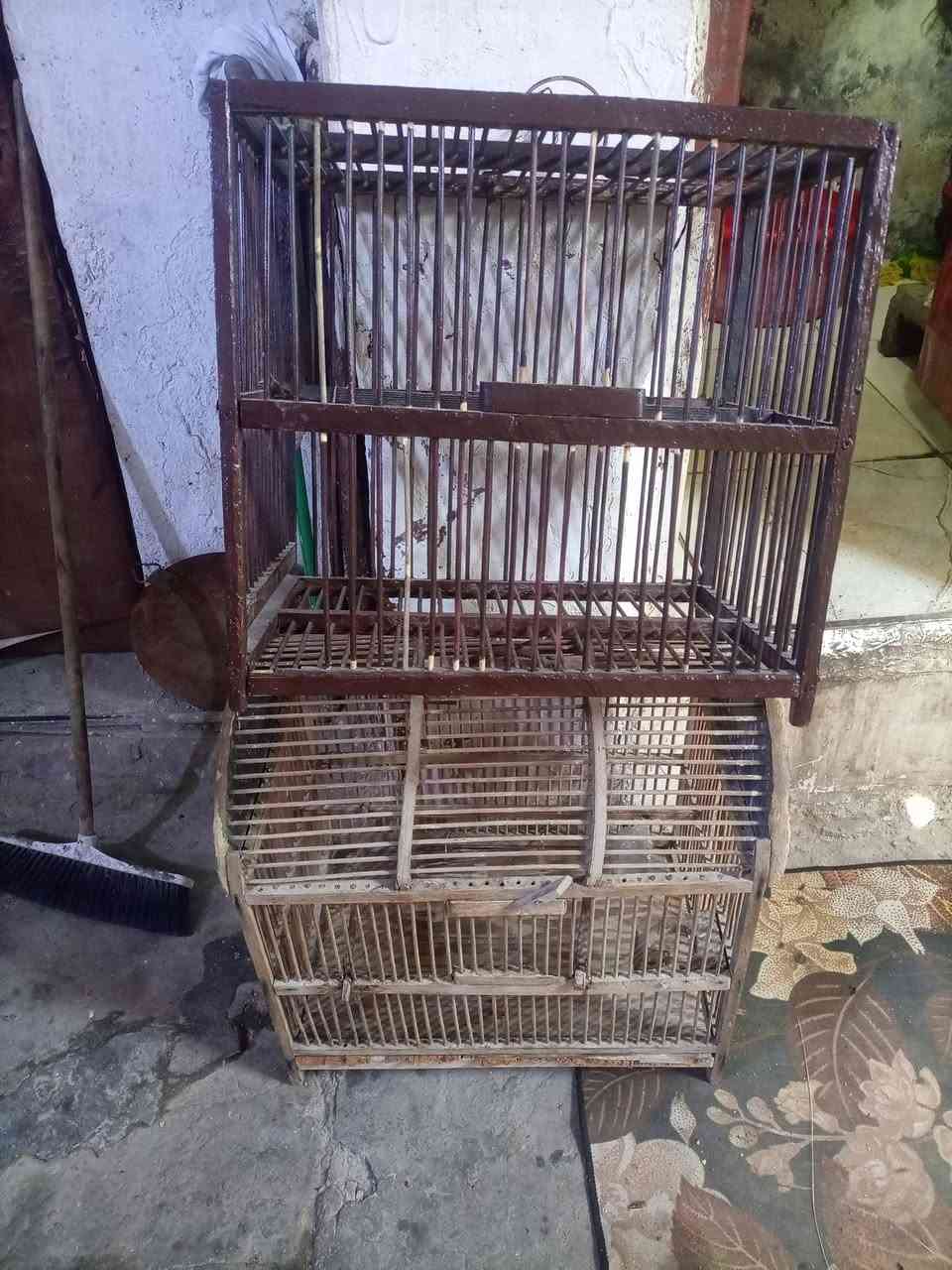 العنوان البصرة العالية قرب حسنية الحلاف شارع 16 ***********
