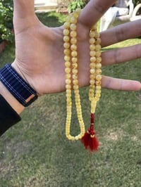 اخوان سبحه كهرب حر طبيعي بولوني كصه مدعبل شاهد ستندر ١٠١حبه ٣٢غرام للت...