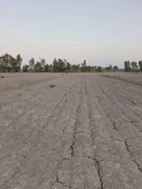 بابل طليعة • ١٠ دونم • سند ٢٥