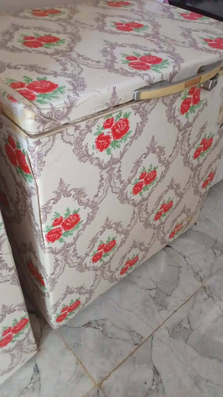 مجمدة للبيع 10 قدم السعر 220


**إذا كنت صاحب هذا الإعلان وتريد حذفه لأي سبب، رجاءا أرسل رسالة إلى الدعم الفني**